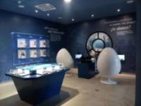 Museo de los Mares Antiguos - Sala Trilobites