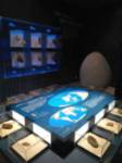 Museo de los Mares Antiguos - Sala Trilobites