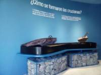 Museo de los Mares Antiguos - Cruzianas