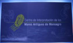 Museo de los Mares Antiguos - Cartel