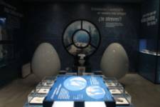 Museo de los Mares Antiguos - Gafas