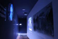 Museo de los Mares Antiguos - Túnel del tiempo