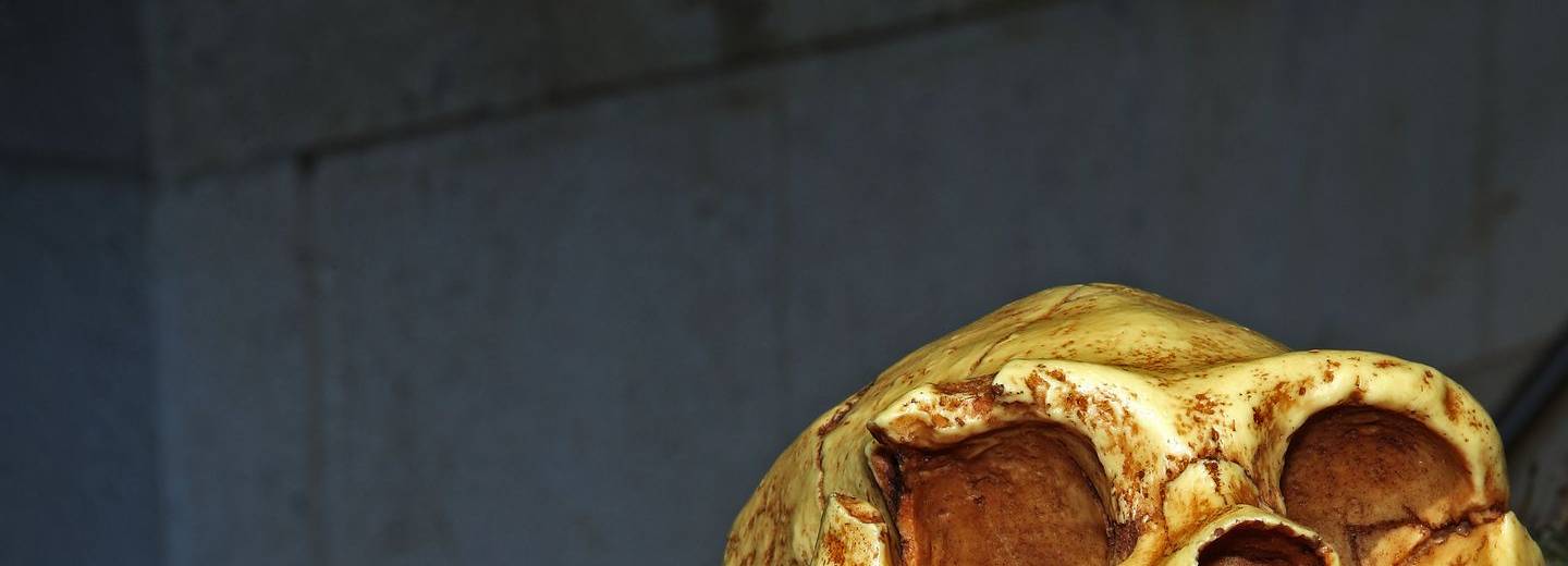 Resultado de imagen de Yacimiento arqueológico de Atapuerca