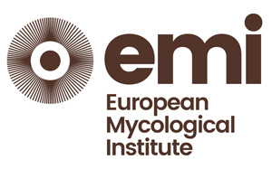 Asesoría Científica del EMI. Este enlace se abrirá en una ventana nueva.