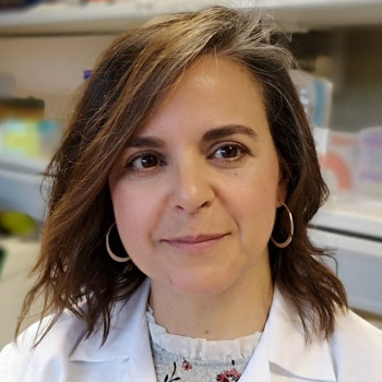 Eva Guillamón Fernández