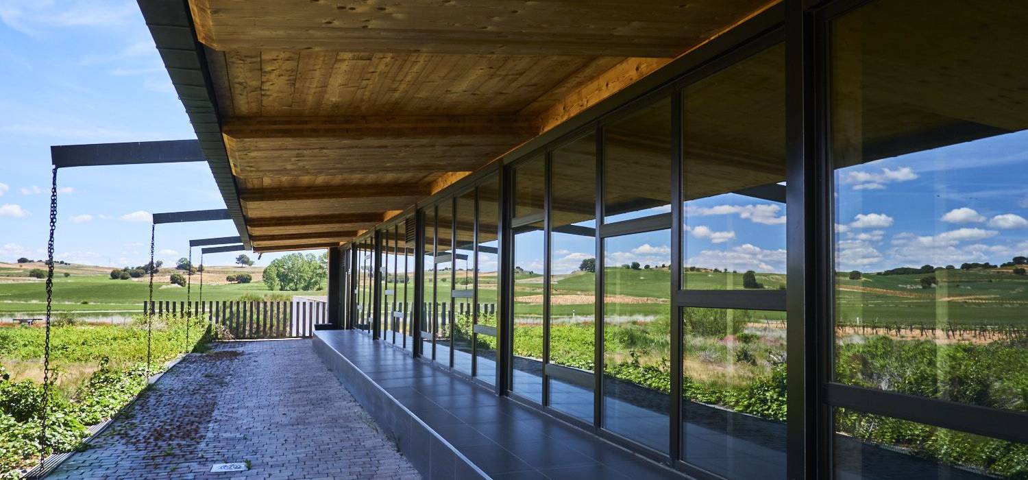 Bodega Bela
