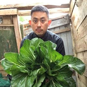 Kok-Loong Wong