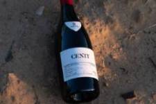 bodega-vina-cenit-8