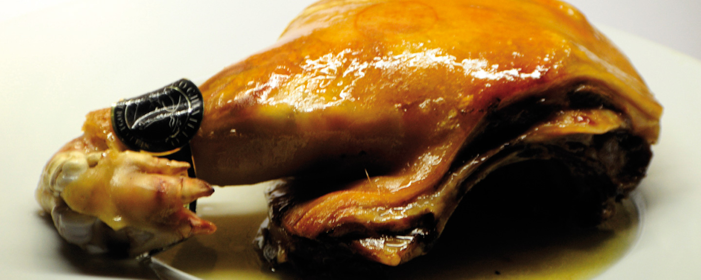 Tostón Portal de Turismo de la Junta de Castilla y León