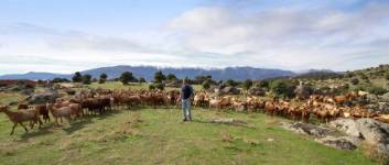 PACO CABRAS Y FONDO SIERRA