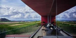 Ambivium Terraza