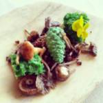 Plato 2
