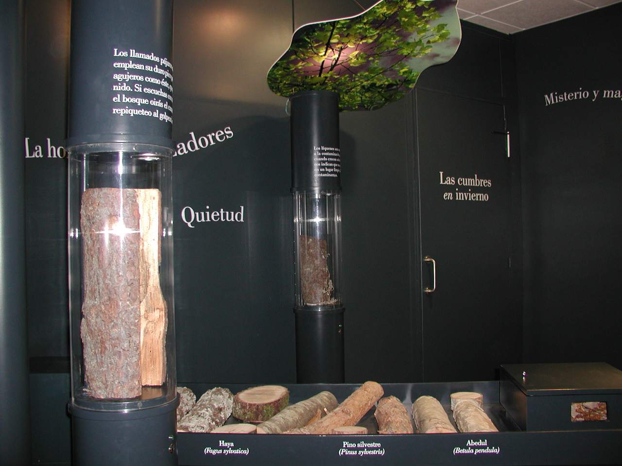 Casas de 'El Torreón de Puebla de Lillo' y 'Valle del Porma'