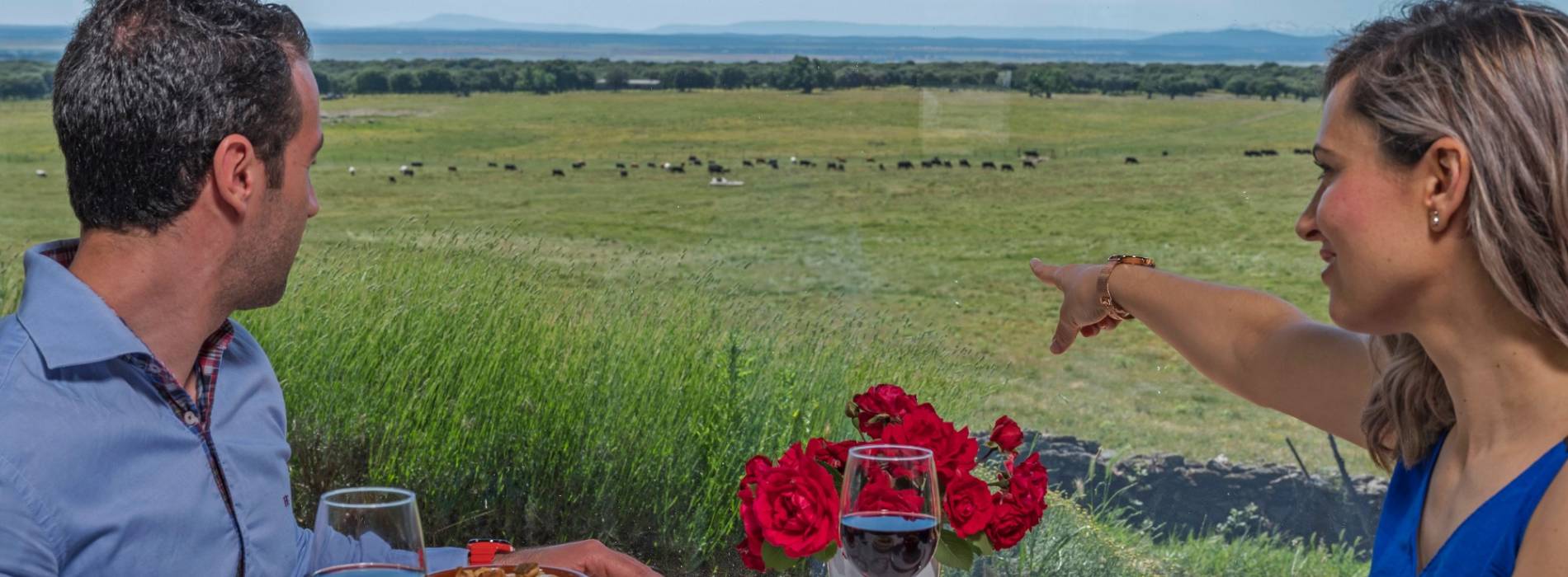 hq Dehesa de Salamanca