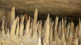 Cueva Llamazares
