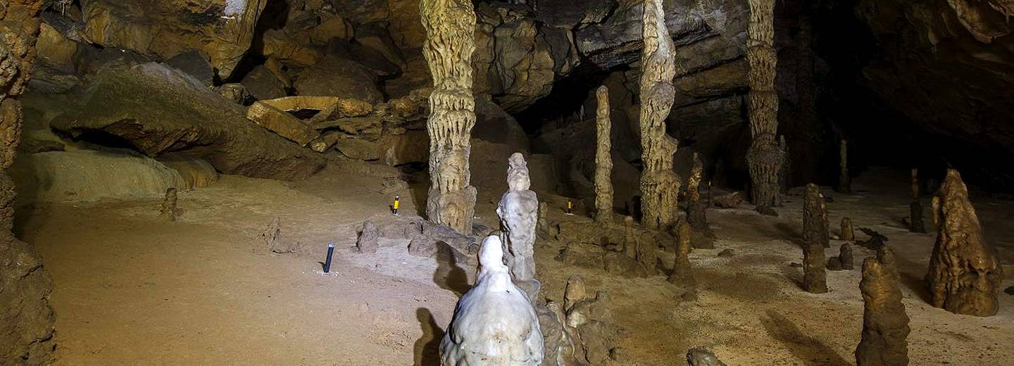 Cueva Palomera