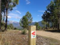 Ruta BTT Arenas de San Pedro