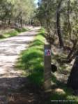 Ruta BTT Arenas de San Pedro