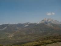Arbillos