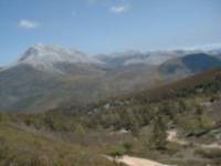 Arbillos