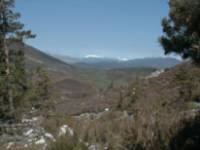 Arbillos