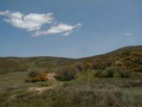 Arbillos