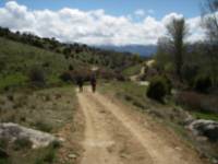La Calzada Romana y Bardera