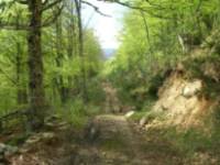 Caminos de la Sonsierra