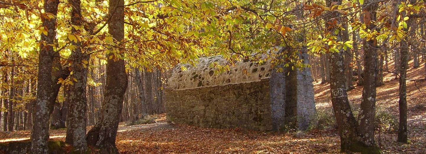 El Castañar de El Tiemblo