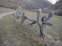 Matapiojos