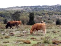 Ruta Circular de los Usos Humanos