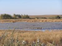 Ruta de la Laguna de Boada de Campos