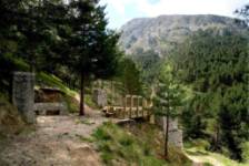 Senda del Pinar de Velilla