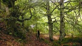 SENSORIAL MERINDADES, Quintana de Valdivielso, (Burgos)