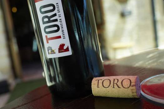 Ruta del vino de Toro