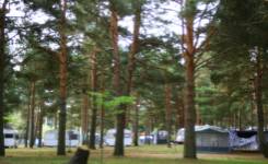 MONTE ROYAL, Camping segunda, Aguilar de Campoo, (Palencia)