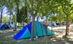 LA PESQUERA, Camping segunda, Ciudad Rodrigo, (Salamanca)