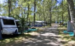 SIERRA DE FRANCIA, Camping segunda, Nava de Francia, (Salamanca)