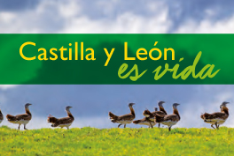 ¿Por qué Castilla y León?