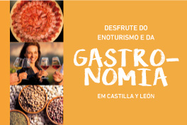 Desfrute do Enoturismo e da Gastronomia em Castilla y León - Portugués