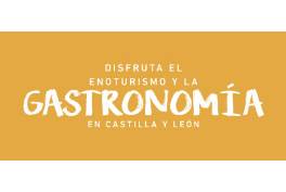 Gastronomia