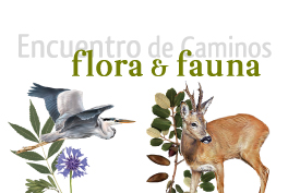 Encuentro de Caminos. Flora y Fauna