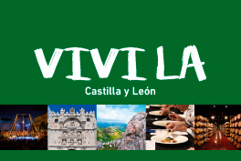 Vivi la Castilla y León