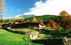 ABEJARUCO, Vista exterior