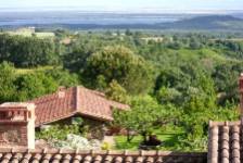 HIGUERAL DE LA SAYUELA "ACEBO", El Raso, (Ávila), vista exterior