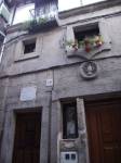 AMPARO, vista exterior