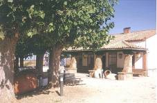 EL BOSQUE, vista exterior