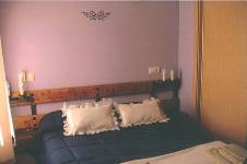 EL BOSQUE, vista interior