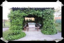 CASA FAUSTINO 6, Ciudad Rodrigo, (Salamanca), vista interior