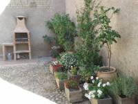 CASA LILAS - CASITA DEL PALOMAR, Santa Clara de Avedillo, vista interior